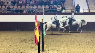 Como bailan los caballos andaluces1