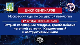 Костин А.В. Тромбоэмболия легочной артерии и обструктивный шок.