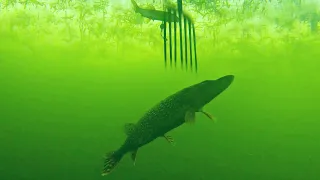 Spearing Pike ((INSANE FOOTAGE))