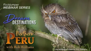 Webinar: Northern Peru with Rob Williams