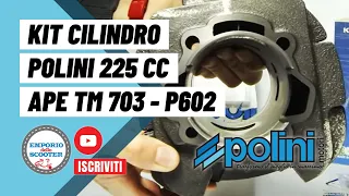 KIT CILINDRO POLINI 225cc APE TM 703 P602 ecc. - emporiodelloscooter.com