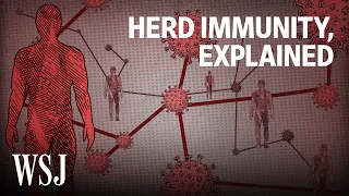 What It Would Take to Reach Herd Immunity | WSJ