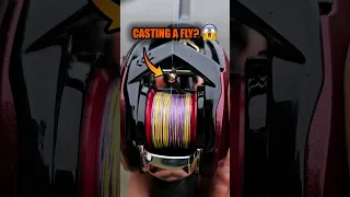 Casting a Tiny Nymph Fly Jig on a BFS baitcasting reel! #fishing #fishingvideo #baitfinesse