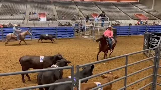 Woodys Little Fives - State Fair Of Texas Ranch Sorting Competition