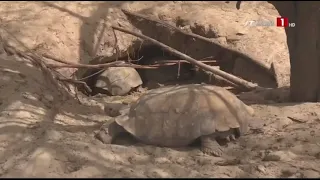 BIODIVERSITE, SAINT-LOUIS | Veiller à la réserve de biosphère du Delta