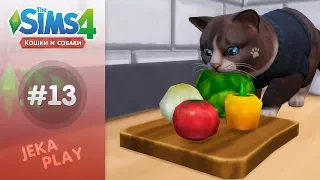 The Sims 4 Кошки и собаки | Мордой в капусту! - #13