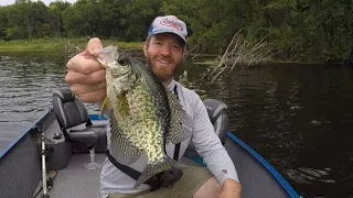 Mississippi River Brush Pile Crappie on an Overlooked Bait