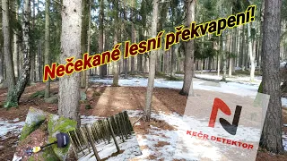 Detektor kovů - Nečekané lesní překvapení