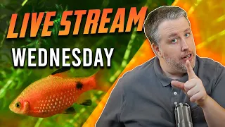 Live Stream with Featured Guest Cory! 290