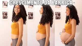 CRESCIMENTO DA BARRIGA NA GRAVIDEZ - MÊS A MÊS | Ludmila Reis