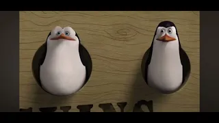 los pingüinos y el sus parte 1