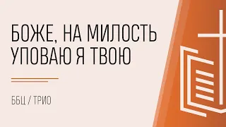 Боже, лишь на милость уповаю я Твою / музыкальное трио