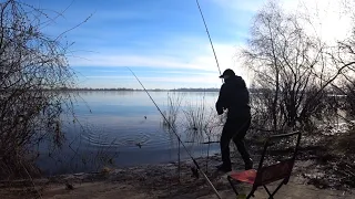 Фідерна рибалка в Києві на Дніпрі. Риба Клює! Ранковий виїзд. Рибалка Київ 2024.