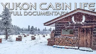 Living in an Off-Grid Log Cabin in the Yukon Territory With My Family - Full Documentary