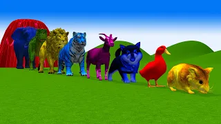 Paint & Animals Duck Cow Dog Cat Hamster Tiger Chicken Lion Sheep Elephant Fountain Crossing Animals