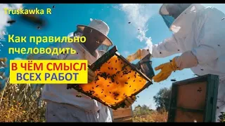 Do you want a lot of #bees and honey in your apiary? Then you need to understand the meaning