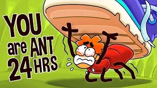 What If You Became An Ant For 24 Hours?