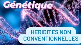 GÉNÉTIQUE 🧬: héridités non conventionnelles