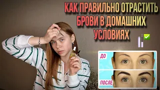 КАК ПРАВИЛЬНО ОТРАСТИТЬ БРОВИ В ДОМАШНИХ УСЛОВИЯХ!!!🔥😍