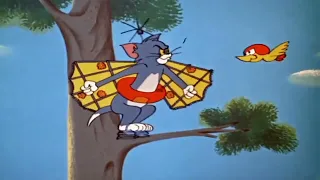 Tom e Jerry - Episódio 120 - Um Tiro pela Culatra - 1962 - #02