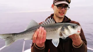 SEA BASS LURE FISHING in Brighton | Inshore Boat Fishing UK