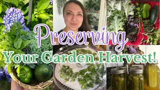 PRESERVING YOUR GARDEN HARVEST / Homestead / Homemaker/ Food preservation/ #everybitcountschallenge