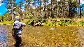 Fly Fishing North East Victoria with Lubin Pfeiffer!