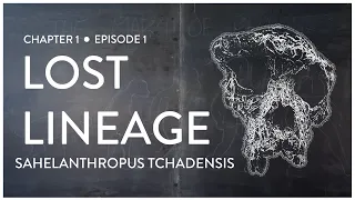 Lost Lineage: Sahelanthropus tchadensis