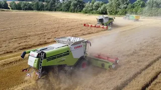 [Harvest 2023 with Claas Lexion 760 & 770]