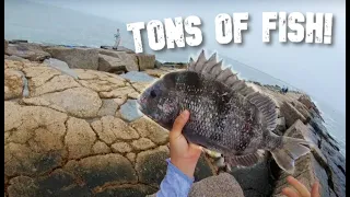 The best way to EASILY CATCH FISH on the Jetties! - (Port Aransas Jetty Fishing)