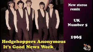 Hedgehoppers Anonymous   It's Good News Week 2021 stereo remix