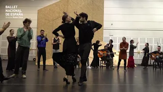 DÍA INTERNACIONAL DEL FLAMENCO 2019. Ballet Nacional de España. Ensayos de Electra.