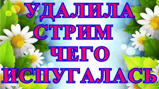 Деревенский дневник очень многодетной мамы/Стрим/Удалила стрим,чего испугалась?