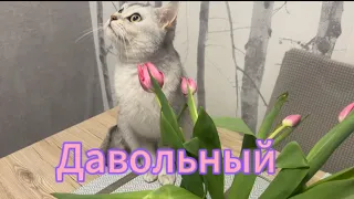 Любимые цветочки💐