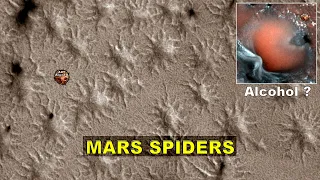 MARS Giant Spiders, Plants and Alien Alcohol - ArtAlienTV