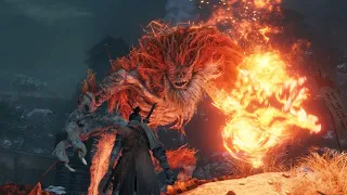 Sekiro: Demon of Hatred Boss Fight ( 4K 60FPS )