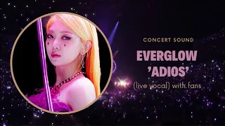 everglow ‘adios’ concert sound (live vocal) with fans