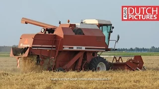 Wheat harvest with Fiatagri Laverda 3500 near Biddinghuizen, The Netherlands | Tarweoogst