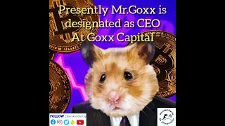 😲😲😲 Just a Hamster ! Or Crypto Trader ? #invest #trading #business