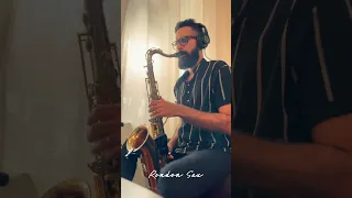 I have nothing - Saxophone Cover - Rondon Sax