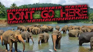 Sri Lanka's Elephant Hell - Wildlife Documentary