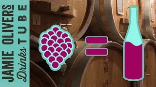 How is Wine Made? | Luca Dusi