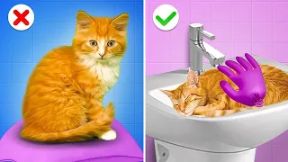 Papi, ¿Puedes Construir Una Casa Secreta Para Mi Gato? Gadgets Increíbles, Momentos Divertidos