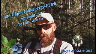 EPISODE #2 "THE BIGFOOT BLUEBERRY-PATCH", I THINK THEY FOLLOWED ME OUT! Please Read Below