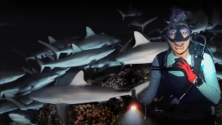 INSANE SHARK ENCOUNTER (at night!)