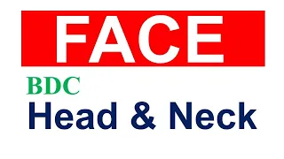 Chp2 | Anatomy of FACE | Head & Neck Anatomy | BDC Vol3 | Dr Asif Lectures