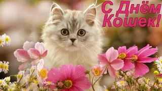 С Днём Кошек! 1 марта - День Кошек. Музыкальное поздравление.
