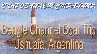Очарованный Странник #37 // Beagle Channel Boat Trip, Ушуайя, Огненная Земля, Патагония, Аргентина