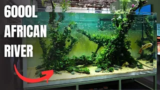 EPIC 3 METER AFRICAN RIVER AQUASCAPE AT INTERZOO 2024