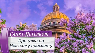 VLOG 116: Летняя прогулка по Невскому проспекту! Санкт-Петербург, июнь 2023